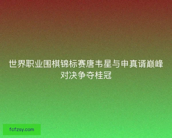 世界职业围棋锦标赛唐韦星与申真谞巅峰对决争夺桂冠