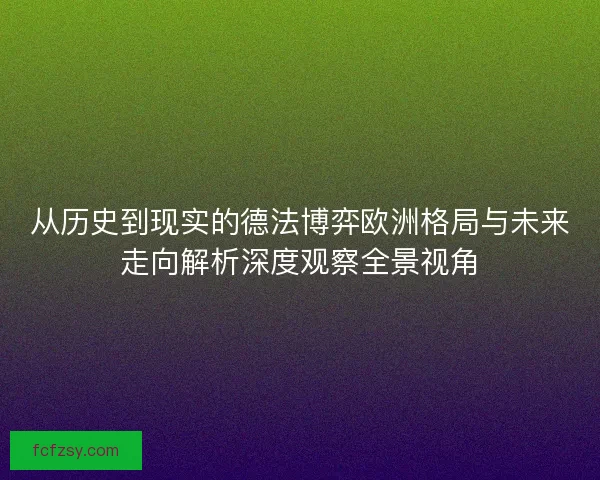 从历史到现实的德法博弈欧洲格局与未来走向解析深度观察全景视角